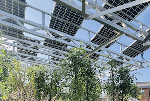 Últimos blogs da empresa sobre Pesquisadores enfatizam a importância do design agrivoltaico sensível ao contexto