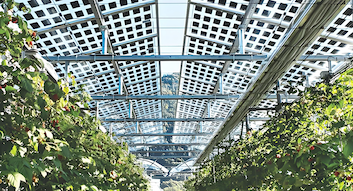 Últimos blogs da empresa sobre Itália Lança Novas Regulamentações sobre Seleção de Sítios para Projetos Solares e Incentivos Fiscais para Energia Solar